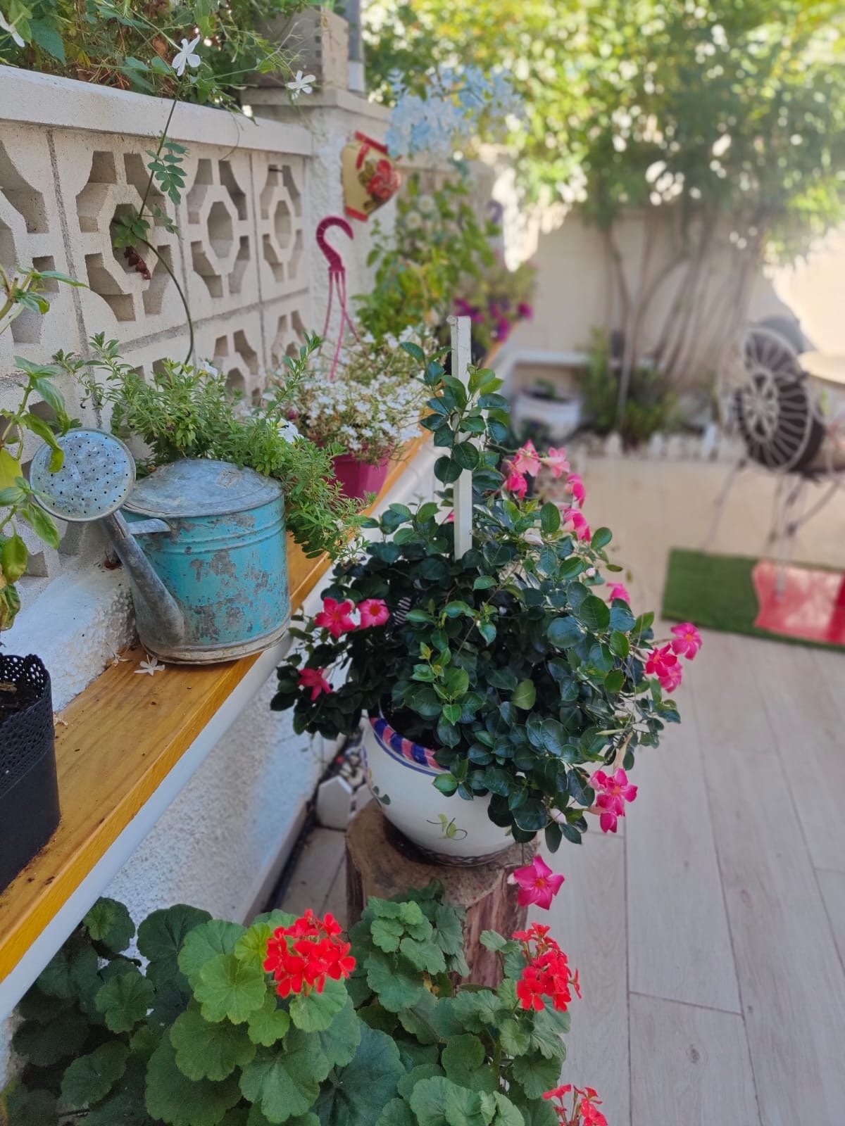 Jardín casa serrano